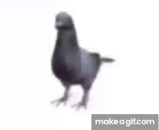 Birb-Spinning